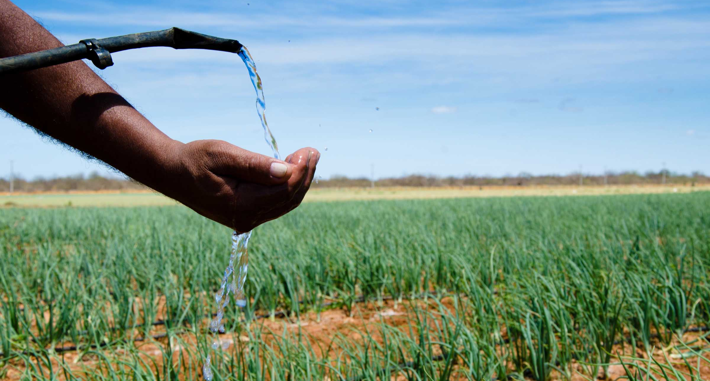 Reúso de água na agricultura